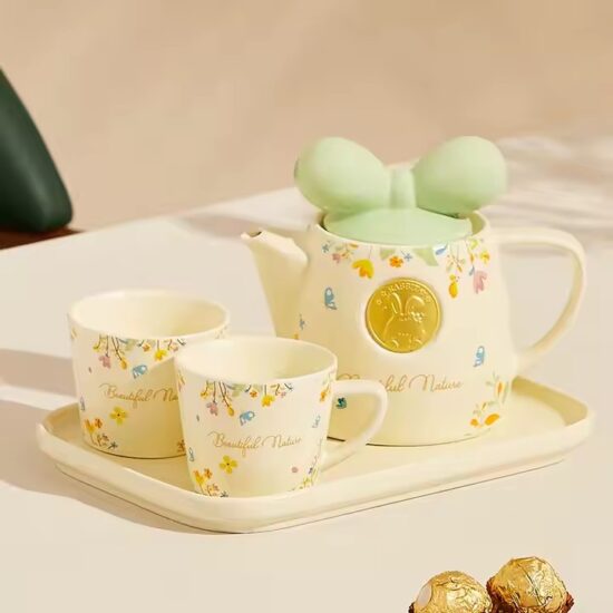 Modern ceramic teapot for home and restaurant tea service