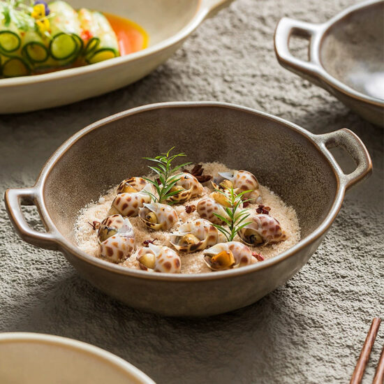 Trendy ceramic dinner plates for stylish home dining